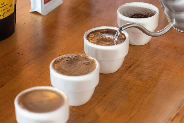 Cupping - Barista ja Espresso