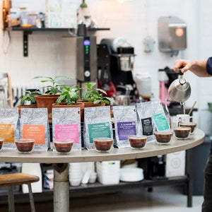 Gringo Nordic Roasters