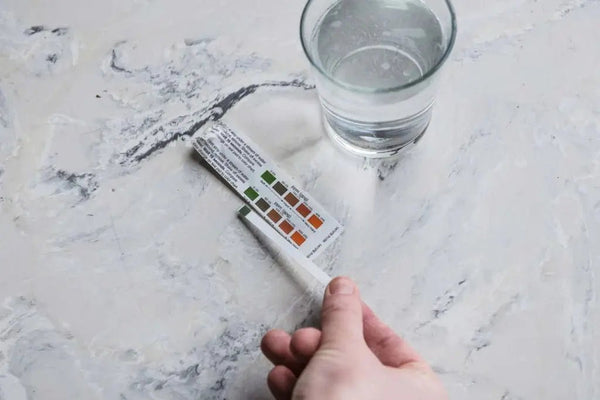 Veefiltreerimine - Barista ja Espresso