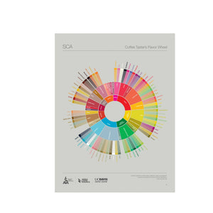 Inglise - Kohvimaistja maitseringi plakat - SCA ESPRESSO GEAR