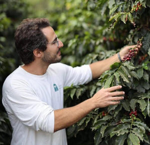Casa Almeida Barreto Espresso - Brazil - Barista och Espresso