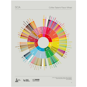 Inglise - Kohvimaistja maitseringi plakat - SCA ESPRESSO GEAR